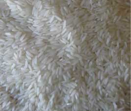 Manufacturers Exporters and Wholesale Suppliers of Pr11 White Rice Nagpur Maharashtra